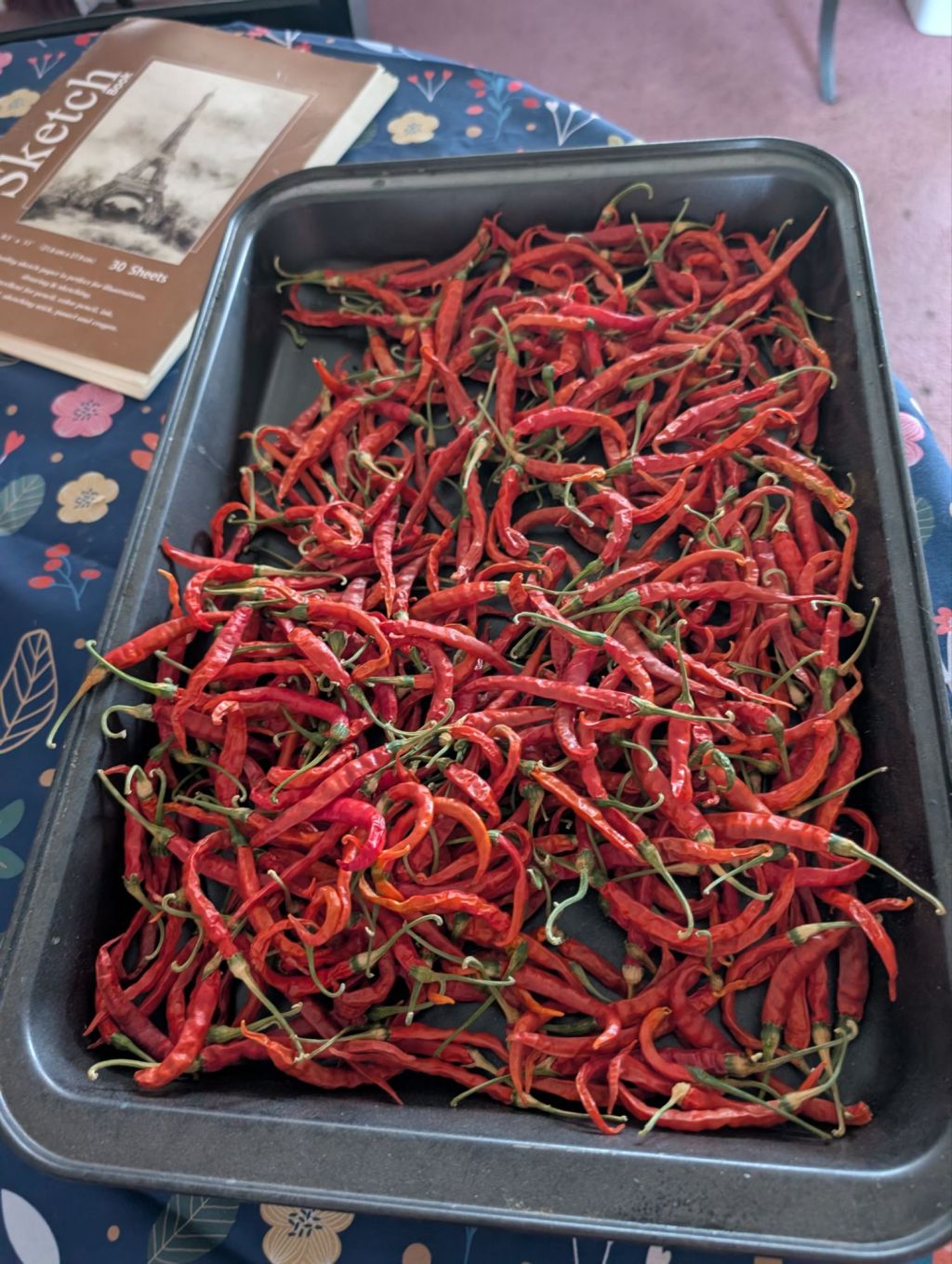 The Garden Chronicles: Chaos, Lessons, and&nbsp;Fire